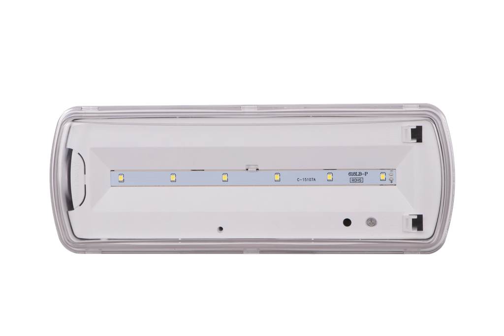 40-WANDA-20251- BLOC SECOURS LED APPARENT IP65 220V WANDA