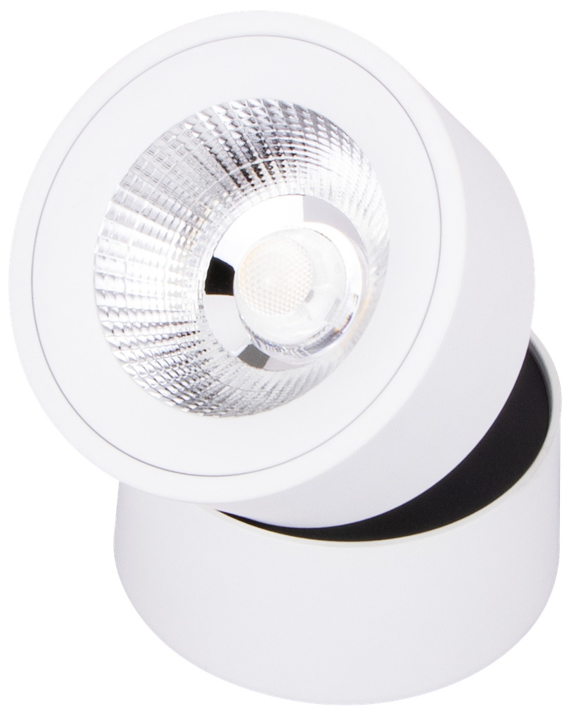 SPOT LED APPARENT CYLINDRIQUE ORIENTABLE COB IGLORYA